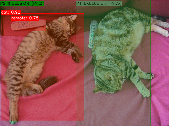 YoloX OpenCV Processing System